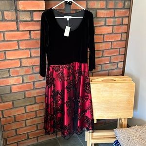 Fancy Black Velvet dress